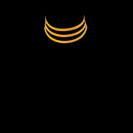 WYKROJNIK NASZYJNIKA Z...